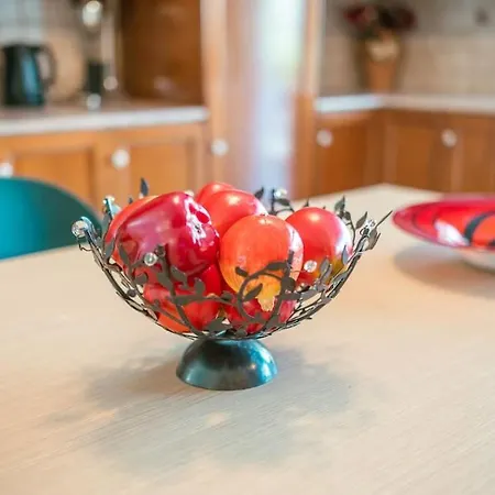 Apartmán Rena's Center House *